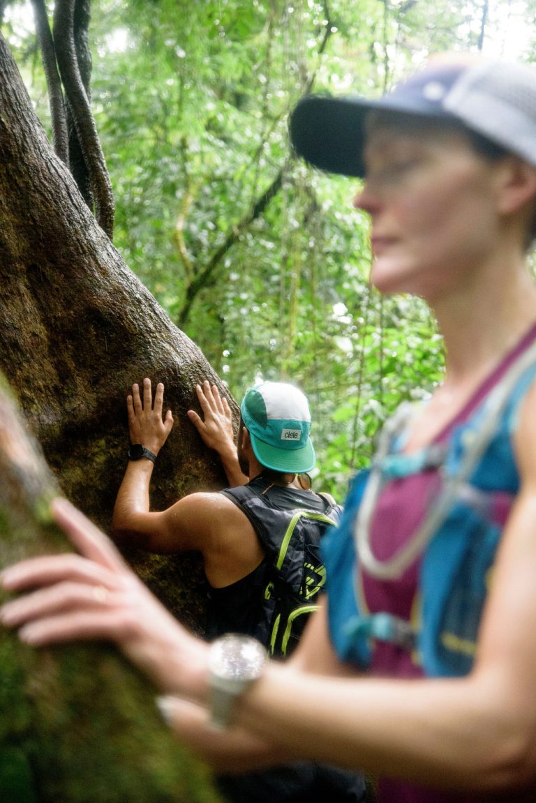 Sustainable Traveler Guide by Tina Muir