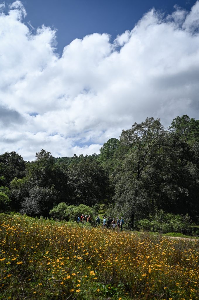 Pueblos Mancomunados