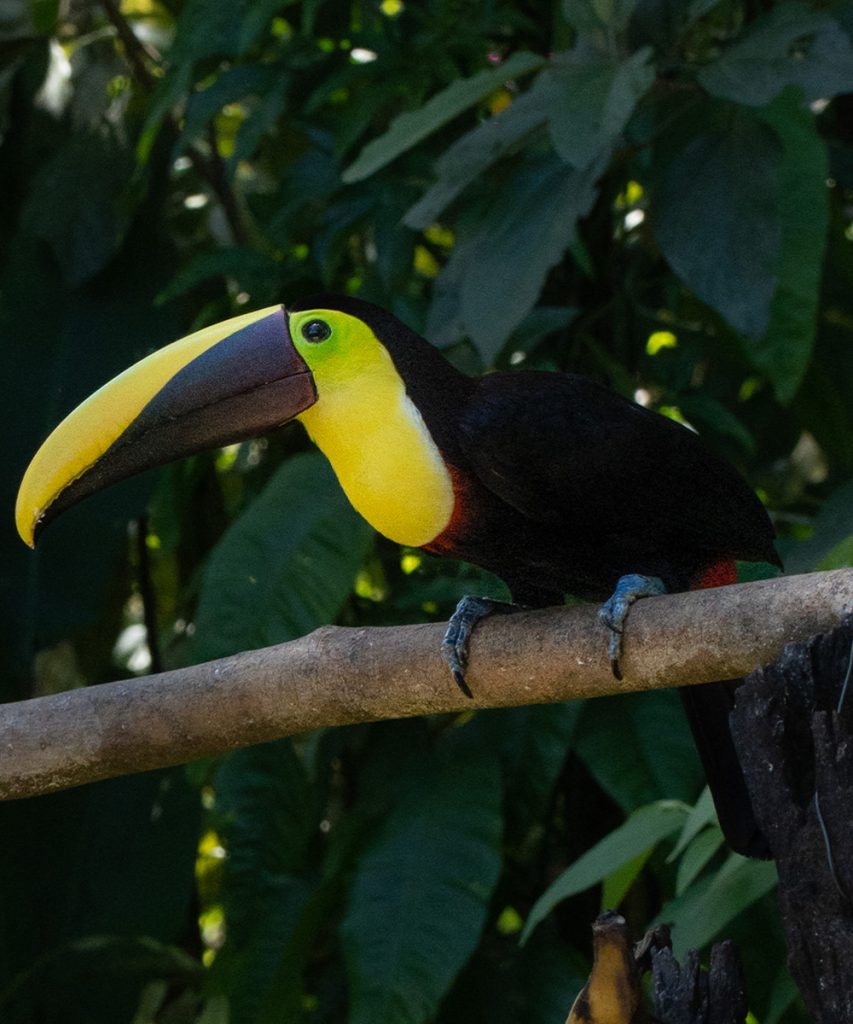 Costa Rica