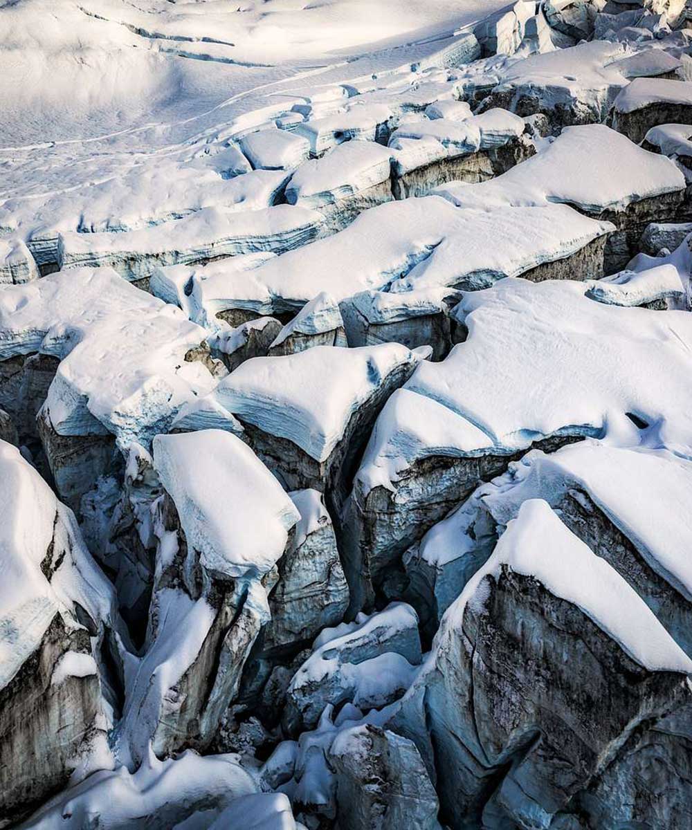 Gallery-NZ-01