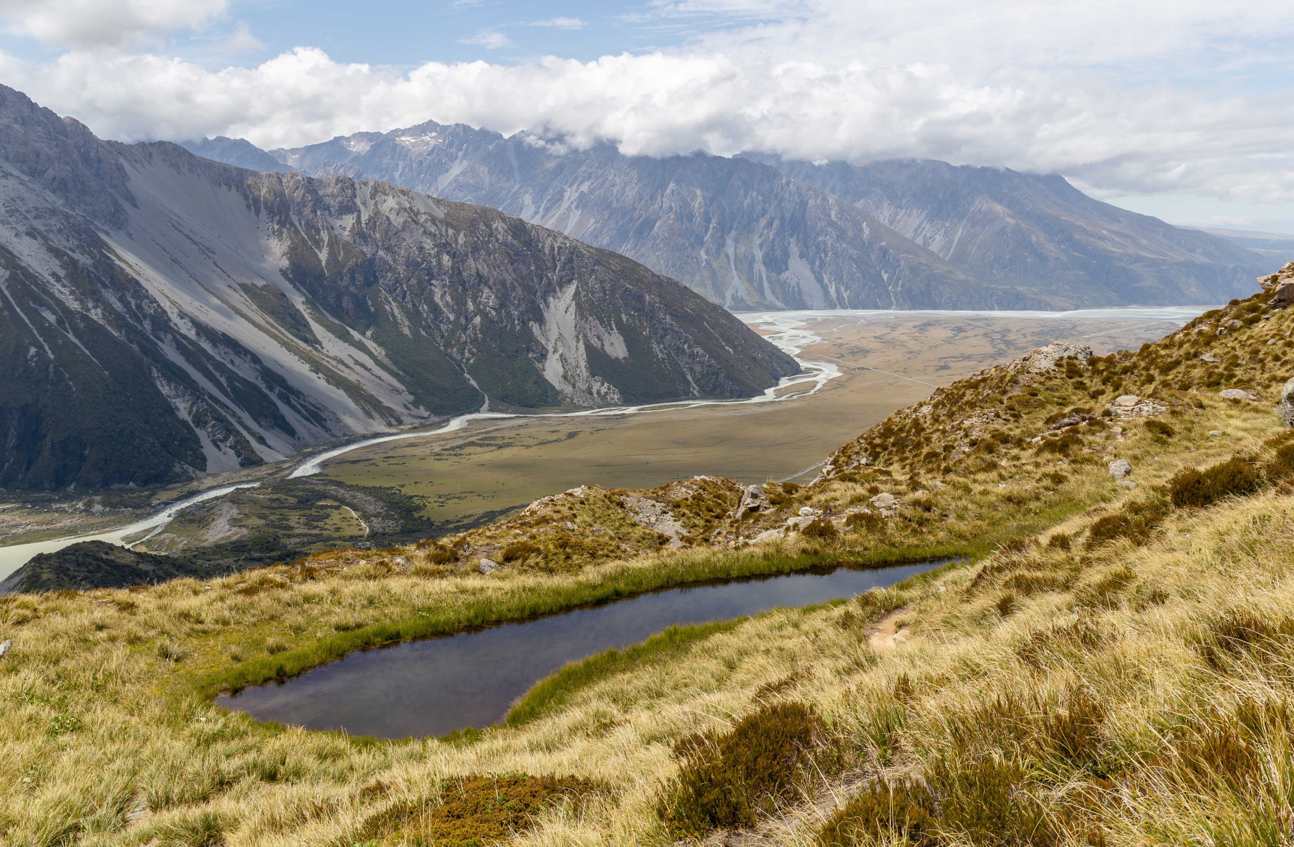 Gallery-NZ-04