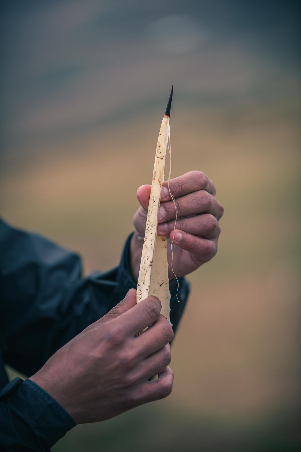 Hikes in the Sacred Valley