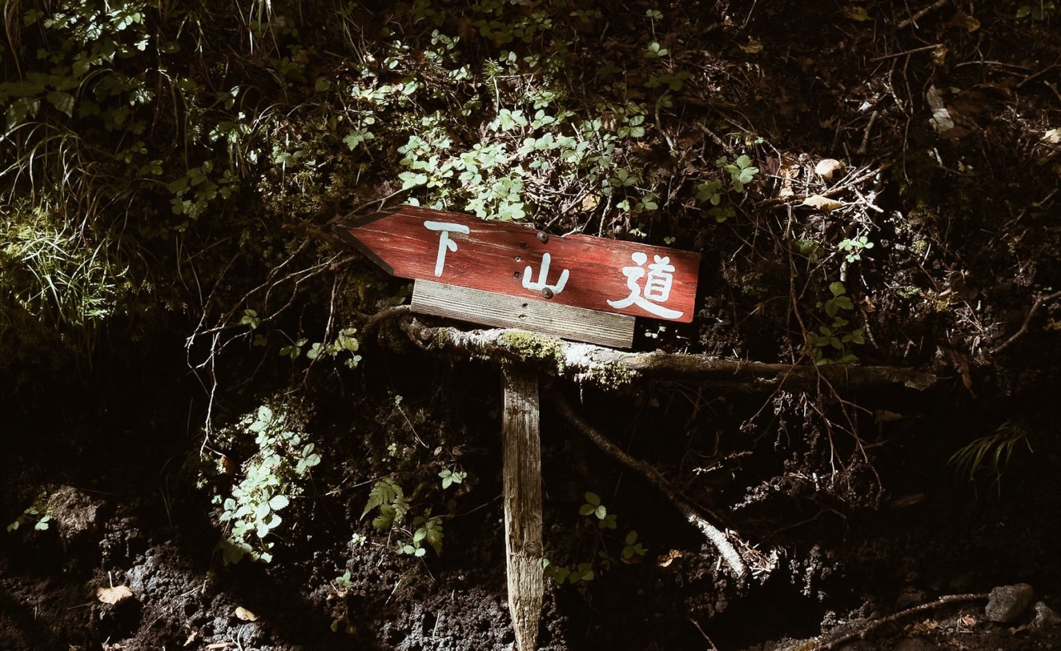NEW-Japan_Gallery_AireLibre005